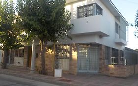 Alto Unimev